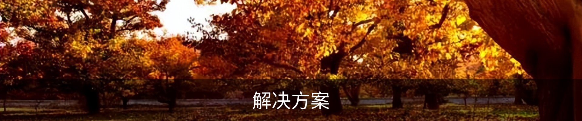 解决方案
